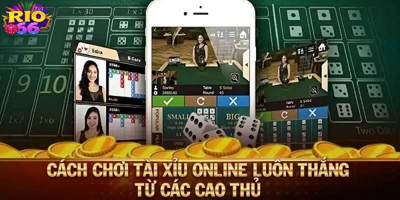 Chơi Tài Xỉu Thông Minh Để Thắng Lớn Mỗi Ngày Cùng Rio66 4 Bí kíp kiếm tiền mỗi ngày từ tựa game tài xỉu